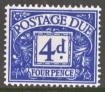 D61 4d Blue M/M